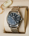 Omega Seamaster Aqua Terra 231.10.39.21.01.001