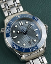 Omega Seamaster Diver 300M Co-Axial 210.30.42.20.06.001
